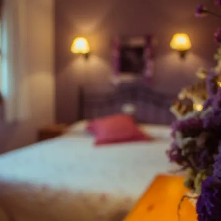 Bal D'onsella Lobera de Onsella