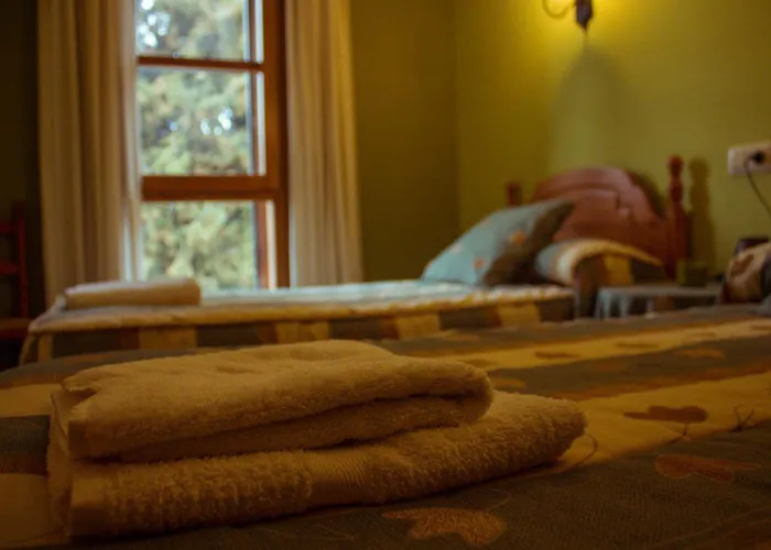 Bal D'onsella * Lobera de Onsella