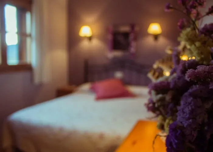 Bal D'onsella Lobera de Onsella